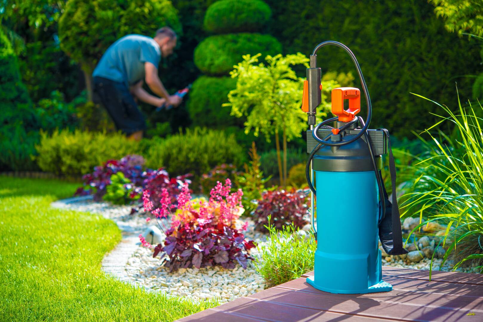 Raptor Turf Landscaping
